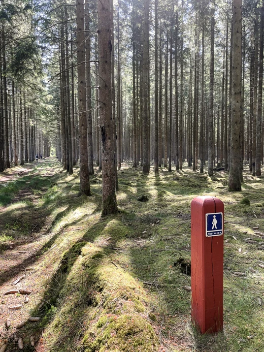 Hiking on Hærvejen to become an even better experience