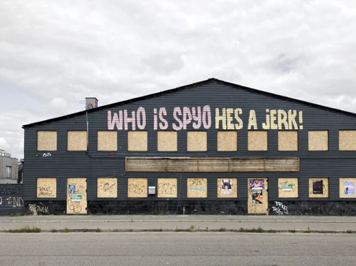 Cultural heritage and the potential of the ugly